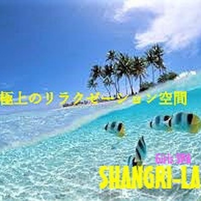 お店の特徴その2