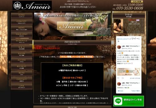 アムールの公式ホームページ