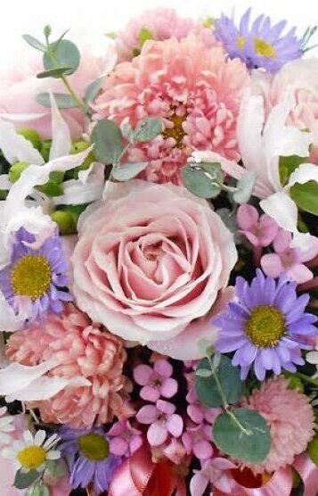 森